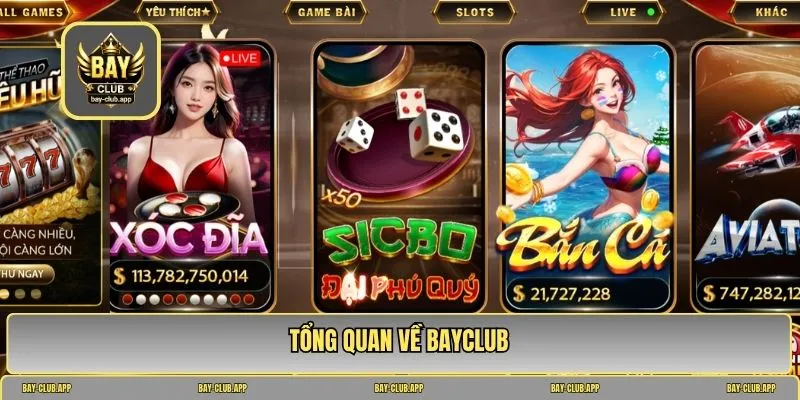 bayclub có uy tín không