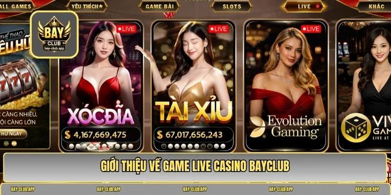 live casino bayclub